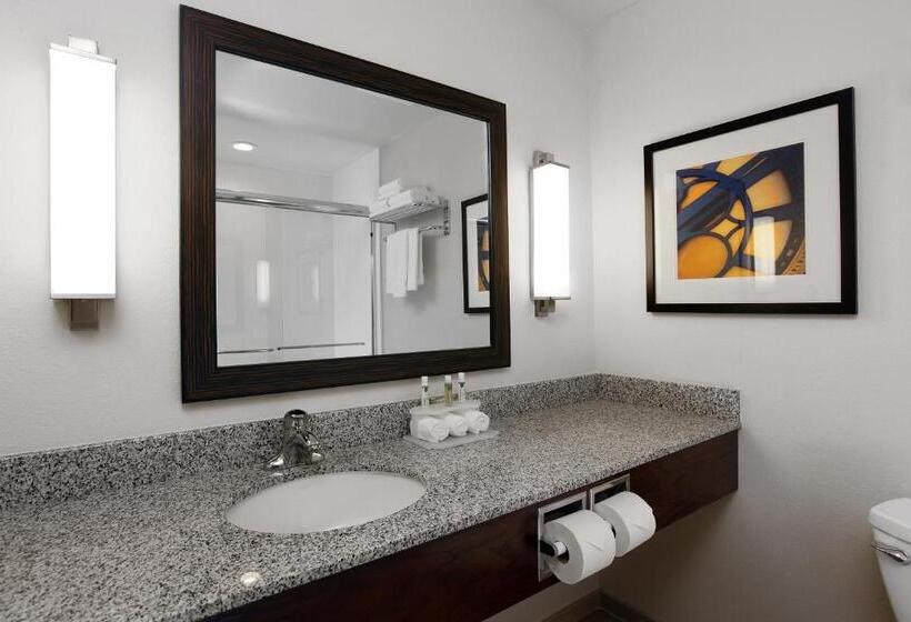 فندق Holiday Inn Express & Suites Omaha South Ralston Arena, An Ihg