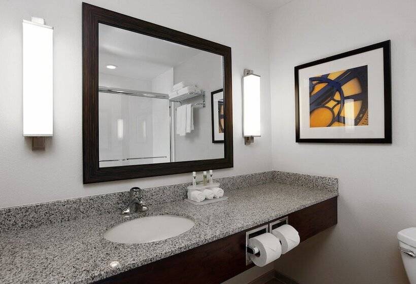 فندق Holiday Inn Express & Suites Omaha South Ralston Arena, An Ihg