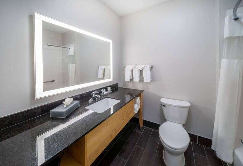 בית מלון כפרי La Quinta By Wyndham Wichita Falls   Msu Area