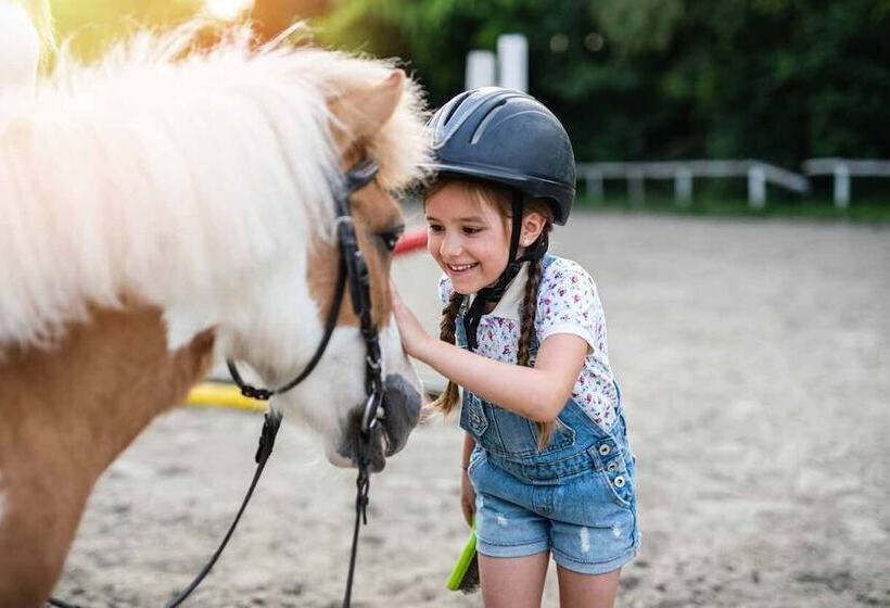 酒店 Volito Rural Experience