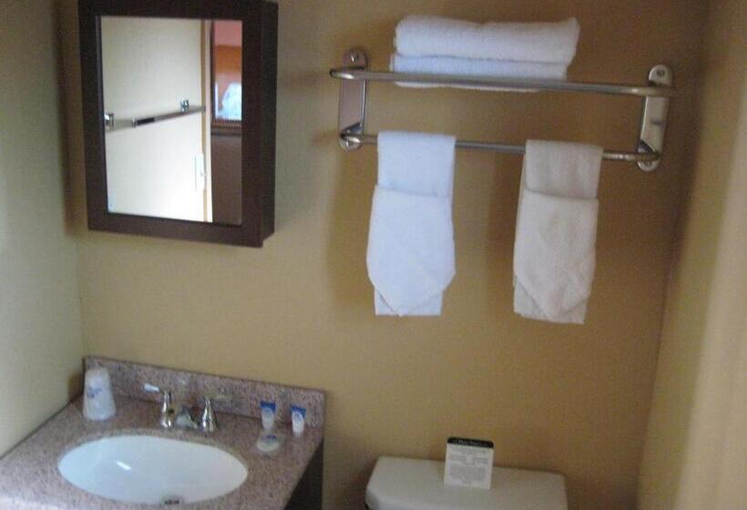 汽车旅馆  Americas Best Value Inn Porterville