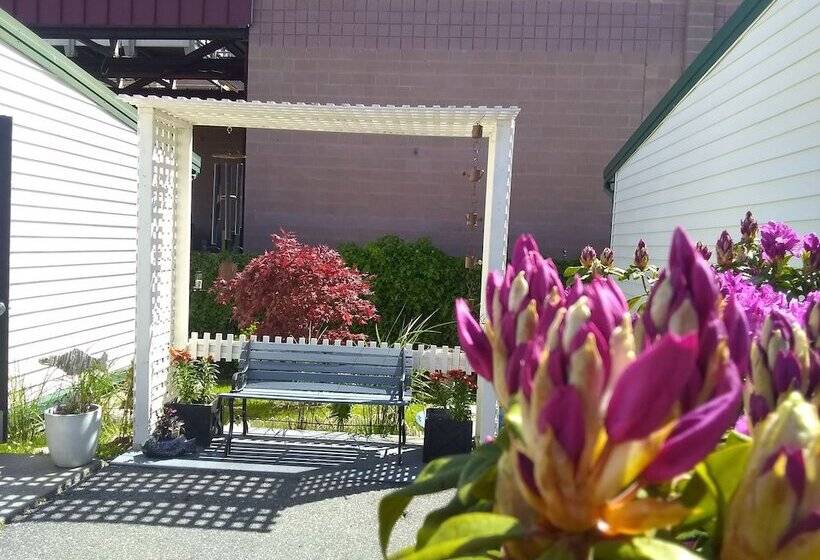 فندق على الطريق The Orca Inn