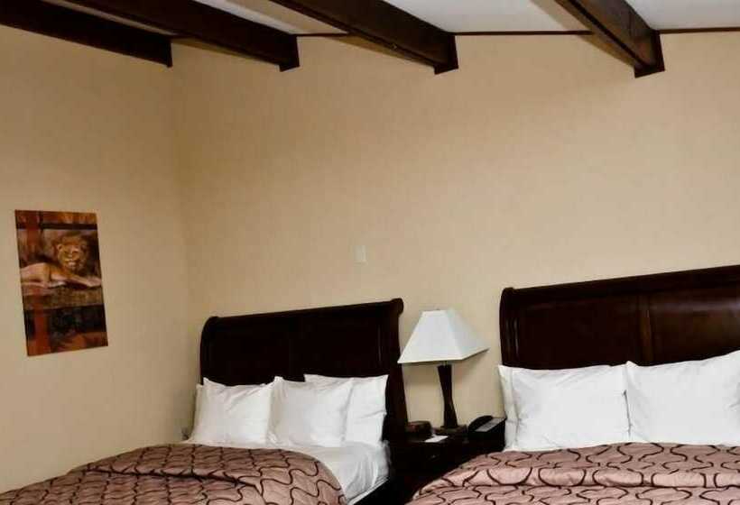 Pacer Inn & Suites Motel