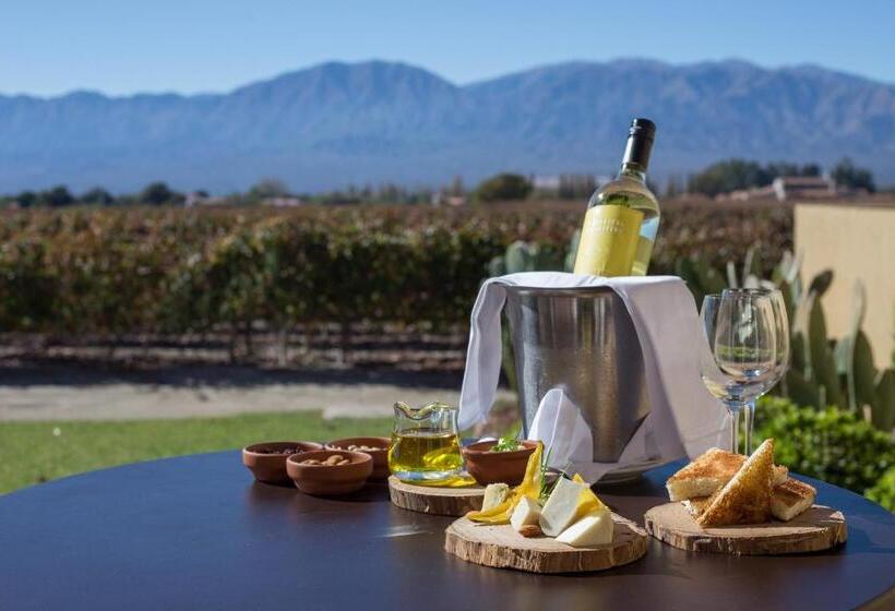 استراحتگاه Grace Cafayate