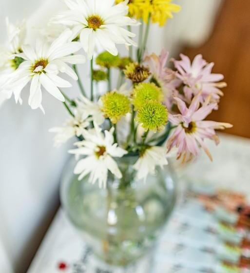 تختخواب و صبحانه Meadows Inn