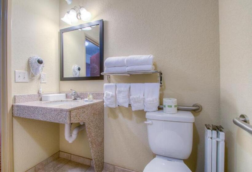בית מלון כפרי Cobblestone Inn & Suites   Harper