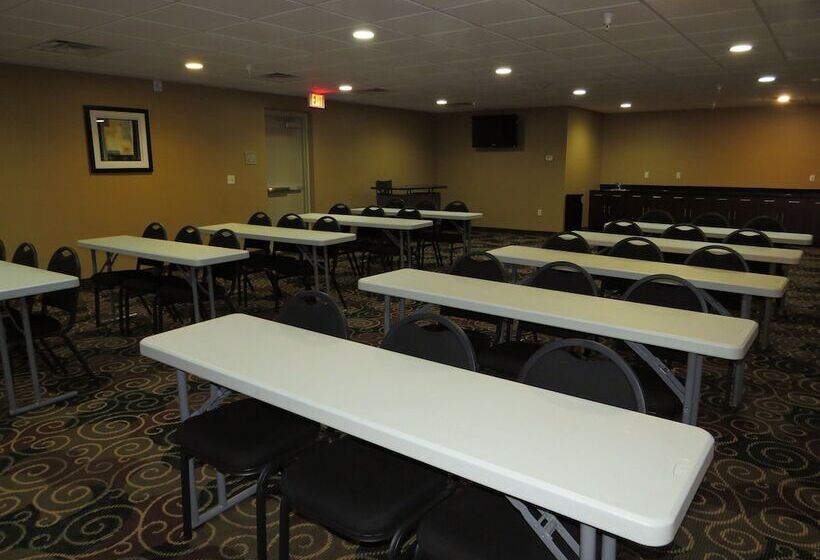 בית מלון כפרי Cobblestone Inn & Suites   Harper
