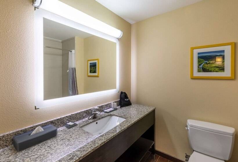 בית מלון כפרי La Quinta Inn & Suites By Wyndham Durant