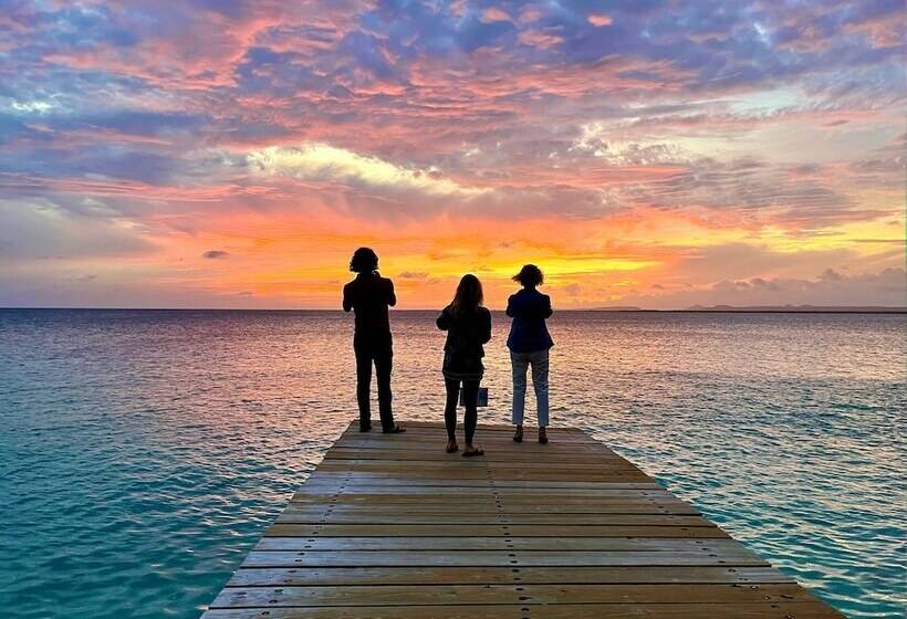 استراحتگاه Oasis Guesthouse, Boutique Style