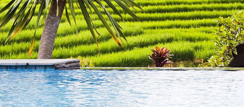 The Sanyas Retreat