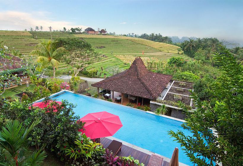 The Sanyas Retreat