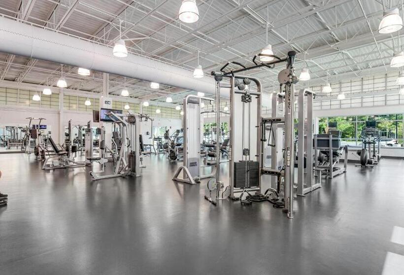 هتل Sea Colony  8901 Timberlake