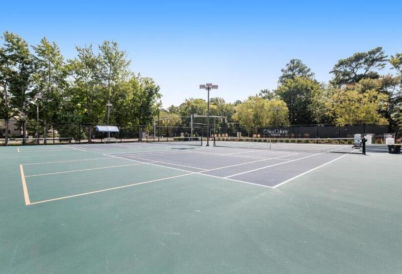 هتل Sea Colony  8901 Timberlake