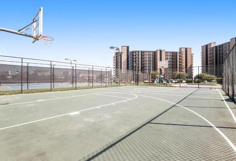 هتل Sea Colony  8901 Timberlake