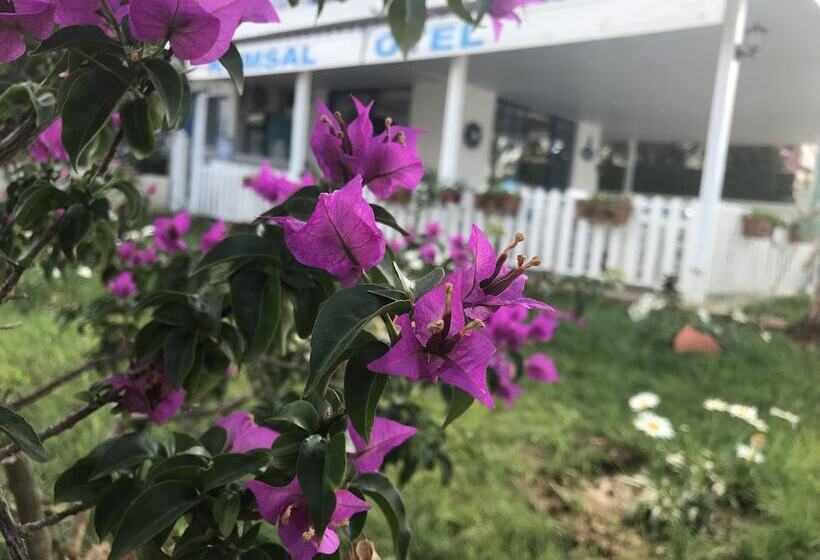 Kumsal Otel