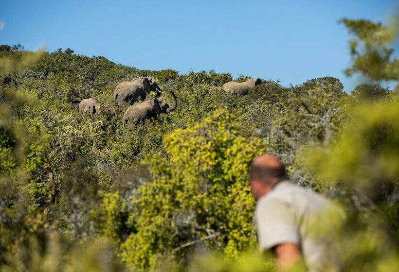 هتل Magic Hills - Ilanga Manor House