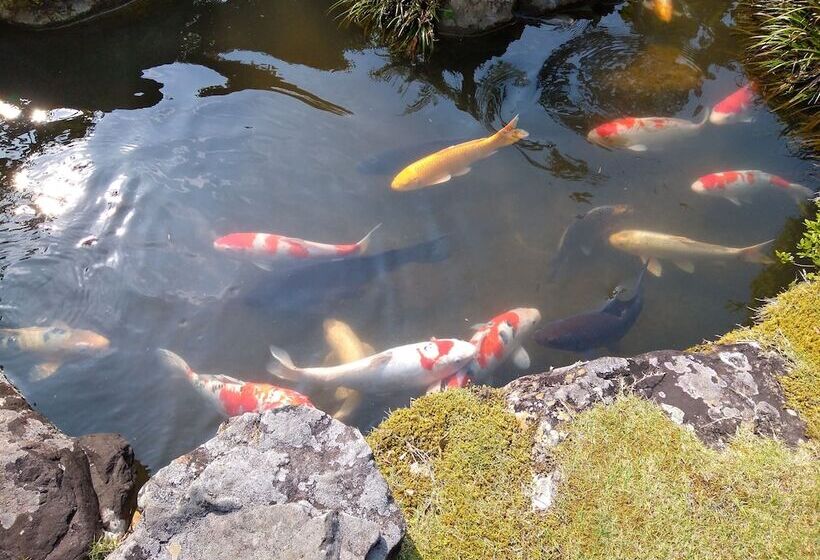 فندق Nouka Minshuku Kajika