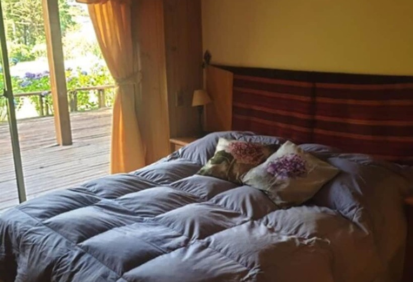 هتل Cabañas Casa Lago Villarrica