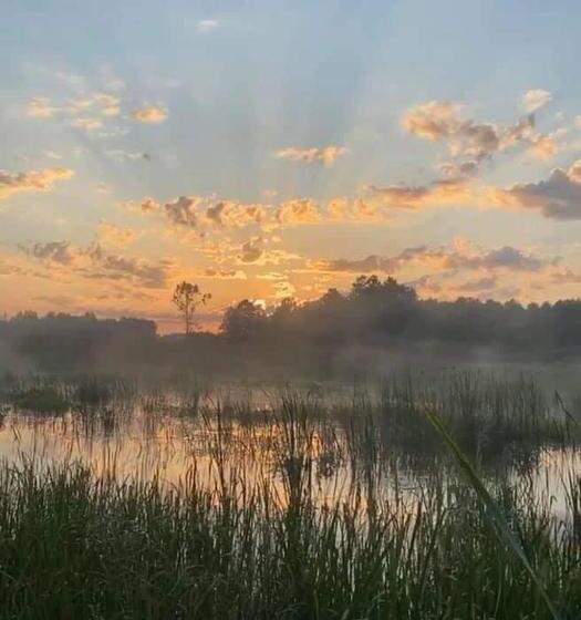 הוסטל Gościniec Biebrzański