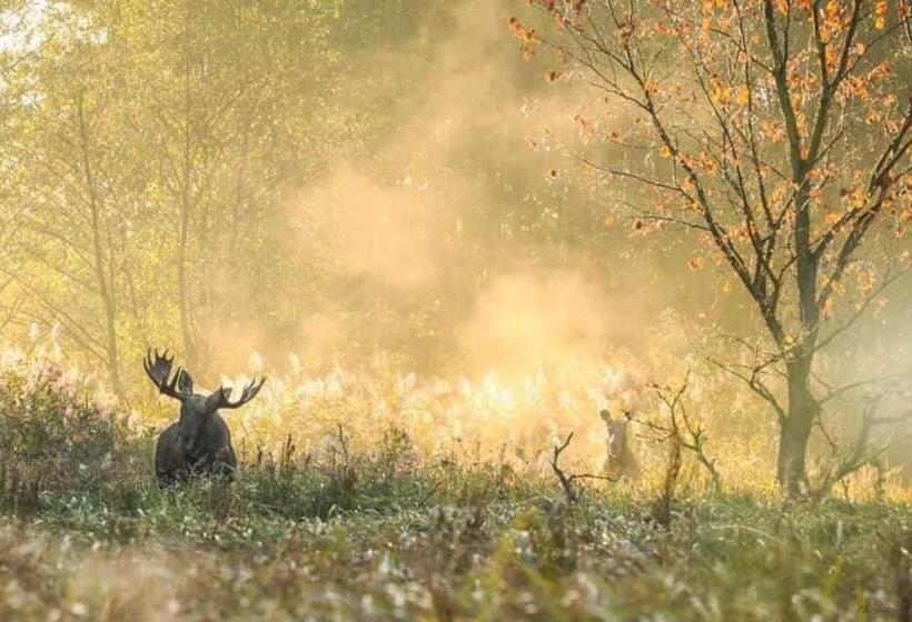 הוסטל Gościniec Biebrzański