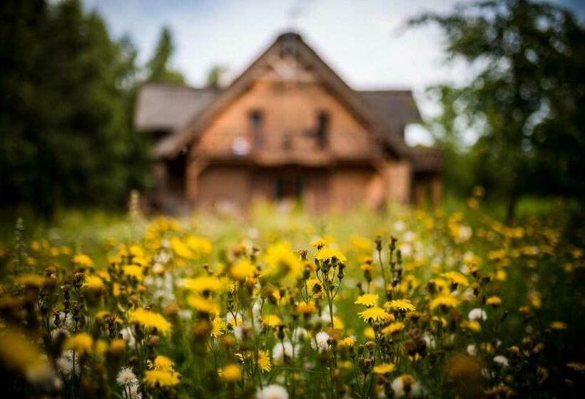 Bed and Breakfast Brzozowy Gaj