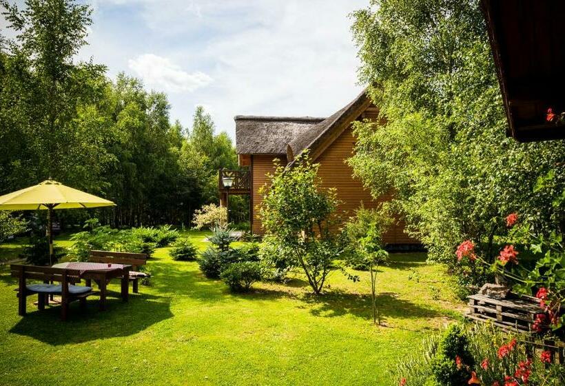 Bed and Breakfast Brzozowy Gaj