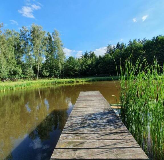 酒店 Agroturystyka Las I Woda
