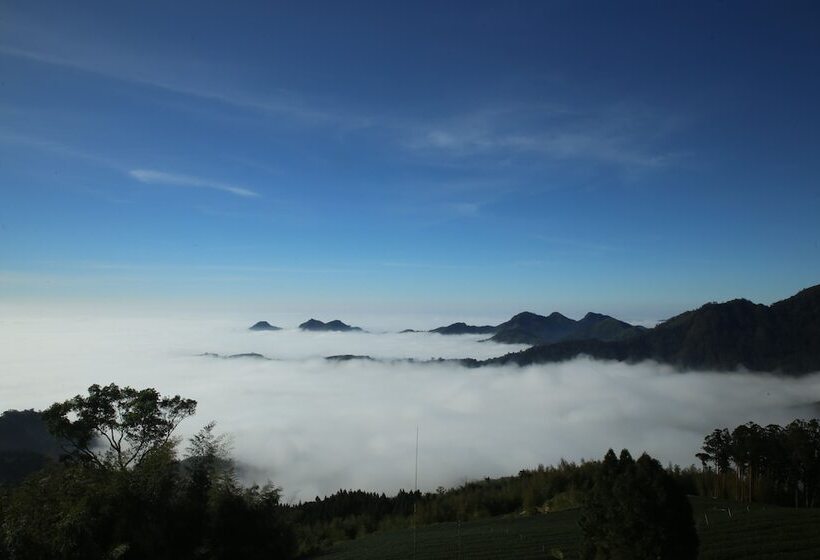 هتل Alishan B&b Yunmingi