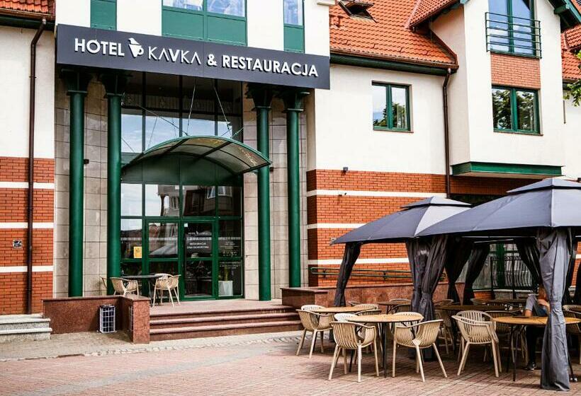 Отель Kavka & Restauracja