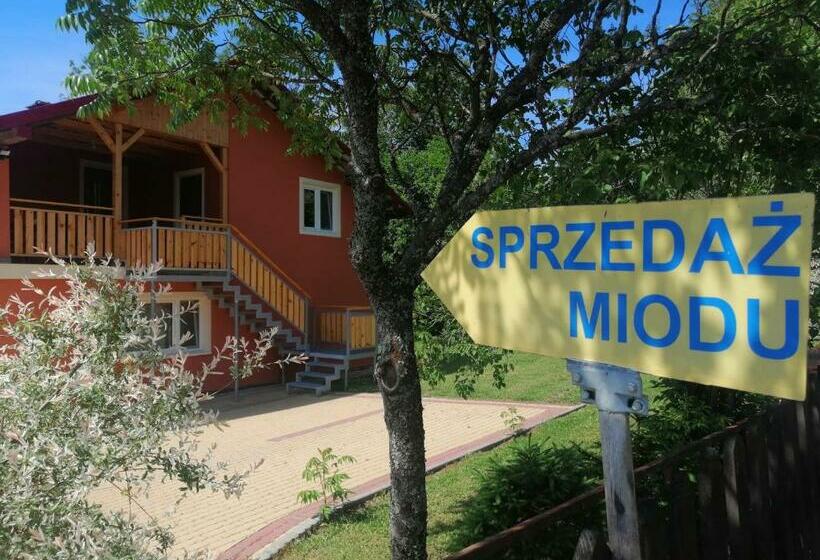 Отель Rzepedka