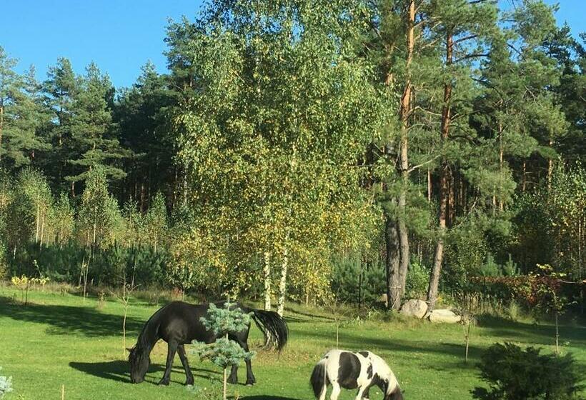 Пансион Dolcevita Podlasie