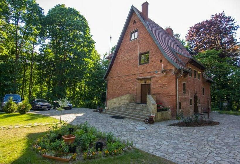 Bed and Breakfast Willa Alkor