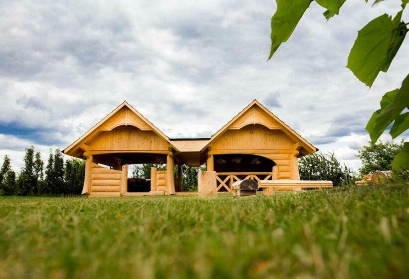 Bed and Breakfast Willa Wojtasówka