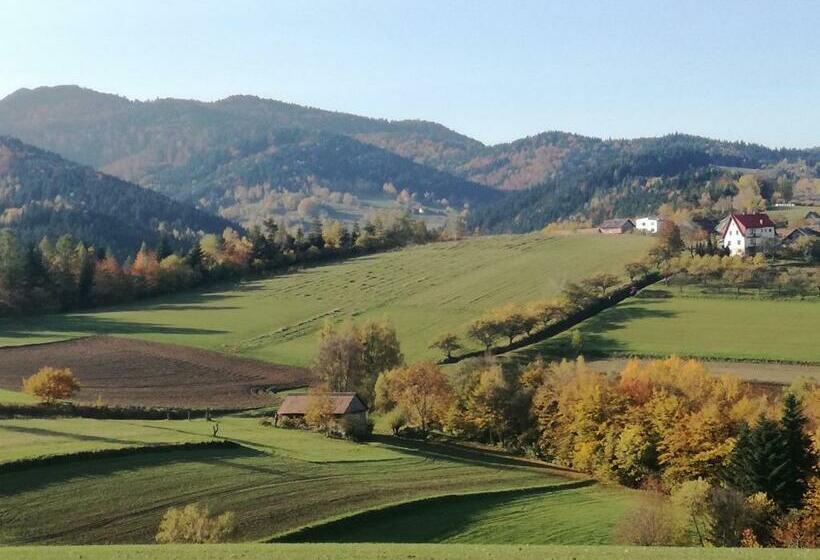 Отель Agroturystyka Ryvilla