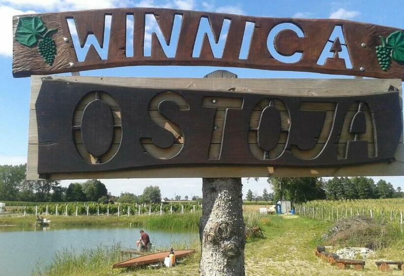 Отель Agroturystyka Willa Ola