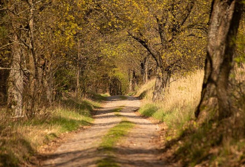 הוסטל Stary Młyn Strzeszyn   Soft All Inclusive