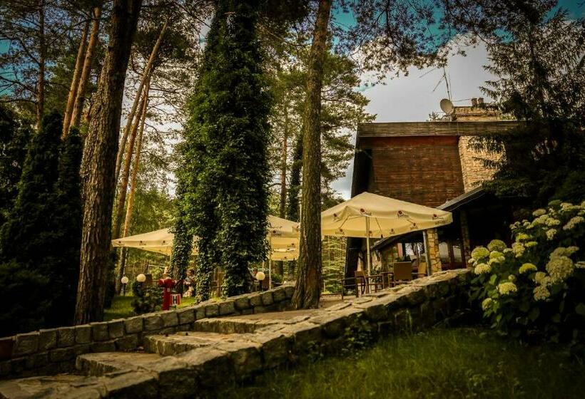 Bed and Breakfast Stolarnia