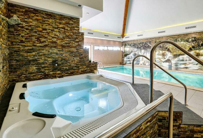 Отель Dębowe Wzgórze Wellness & Spa