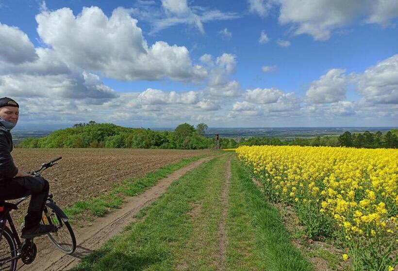 膳宿费 Alba Góra św Anny Restauracja I Pokoje