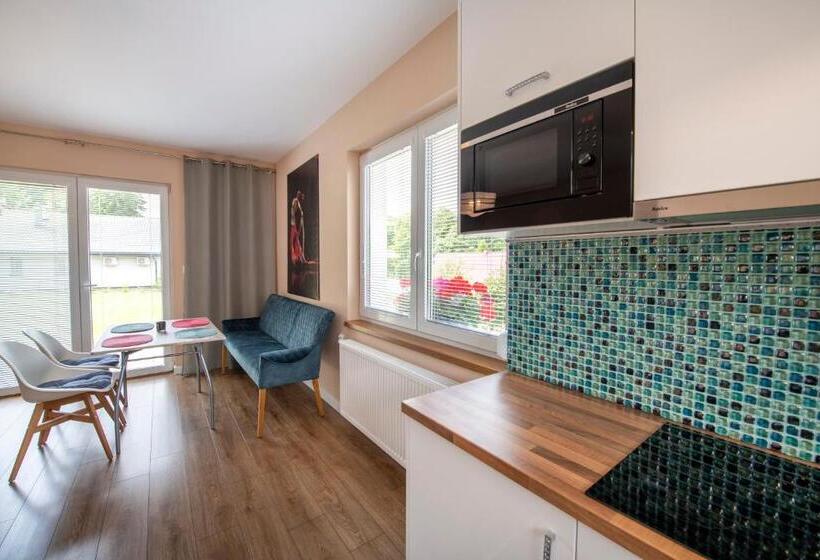 بنسيون Apartamenty Mozaika   Centrum Zdroju