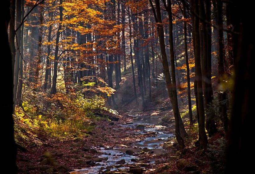 膳宿费 Willa Monika