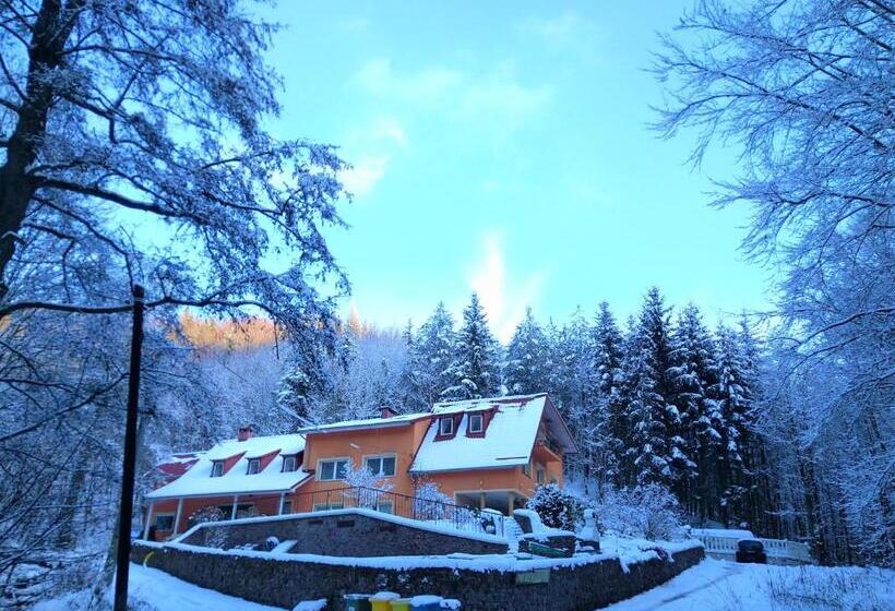 تختخواب و صبحانه Dworek Leśny