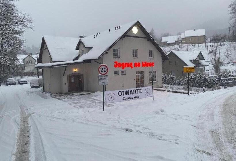 Bed and Breakfast Jagnienawinie