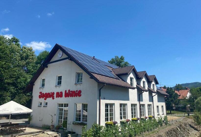Bed and Breakfast Jagnienawinie