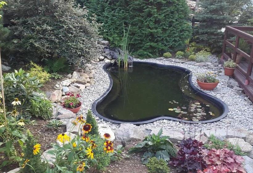 تختخواب و صبحانه Koliba