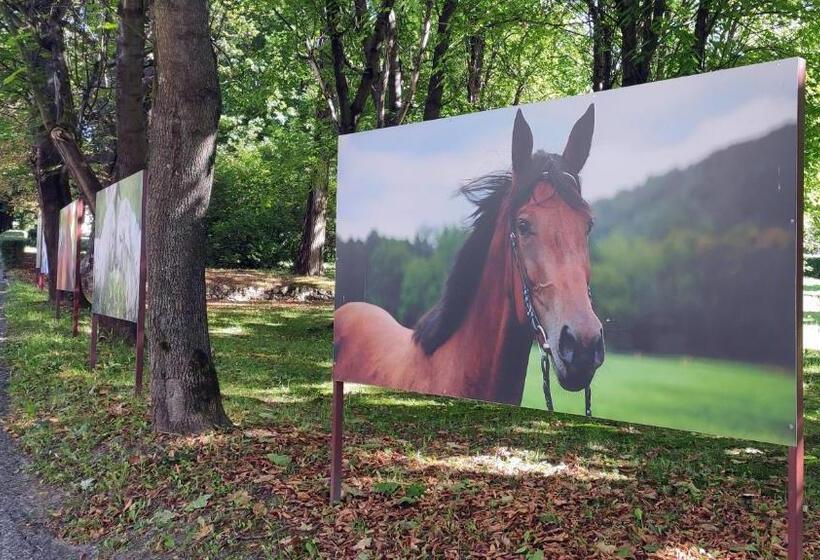 צימר Pokoje Gościnne Pałac W Balicach Instytut Zootechniki Pib