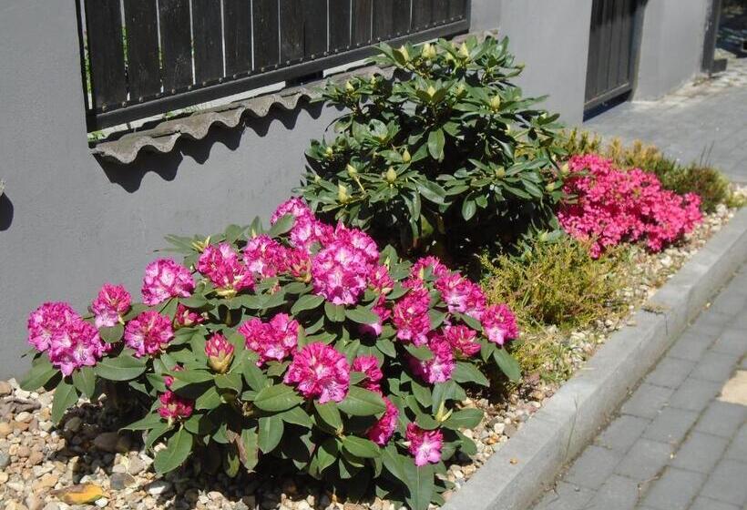 住宿加早餐  Villa Art Korab