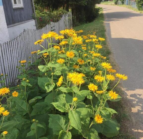 酒店 Chata Pod Kamieniem