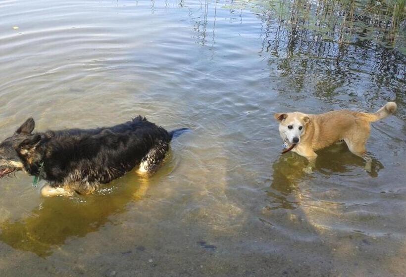 בית מלון כפרי Pod Tulipanem Nad Jeziorem