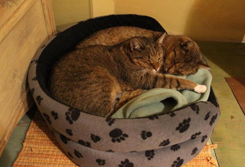 בית מלון כפרי Pod Tulipanem Nad Jeziorem